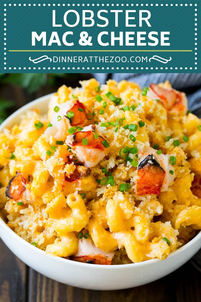 Receta de macarrones con queso con langosta |  Macarrones con bogavante y queso |  Macarrones con queso al horno #pasta #macandcheese #macaroni #lobster #cheese #diner #dinneratthezoo