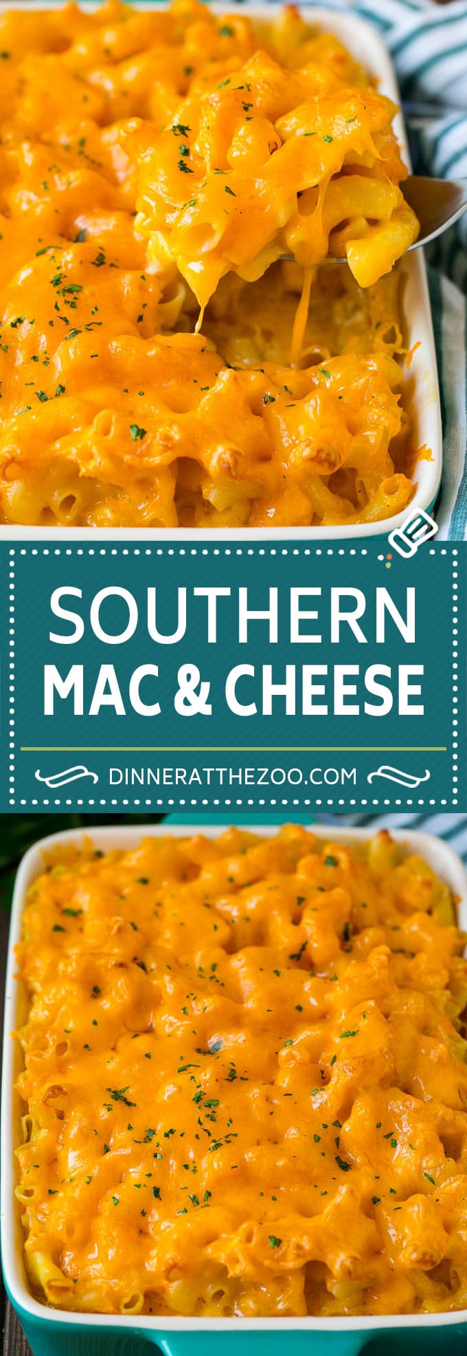Macarrones con Queso del Sur |  Macarrones con queso al horno #pasta #macandcheese # cena #comfortfood #queso #dinneratthezoo