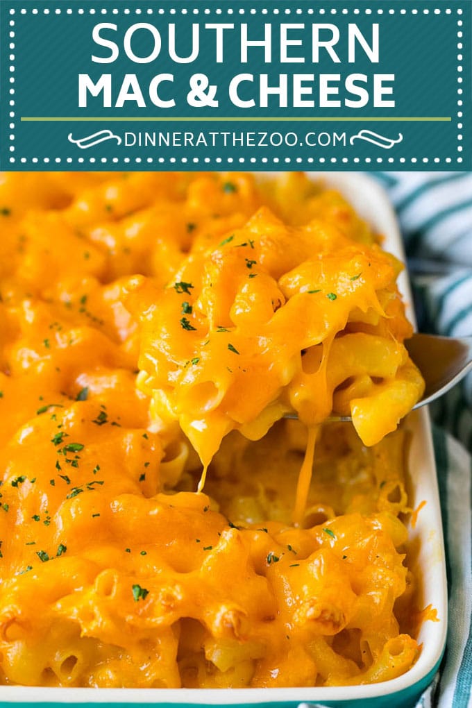 Macarrones con Queso del Sur |  Macarrones con queso al horno #pasta #macandcheese # cena #comfortfood #queso #dinneratthezoo