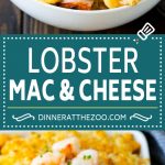 Receta de macarrones con queso con langosta |  Macarrones con bogavante y queso |  Macarrones con queso al horno #pasta #macandcheese #macaroni #lobster #cheese #diner #dinneratthezoo