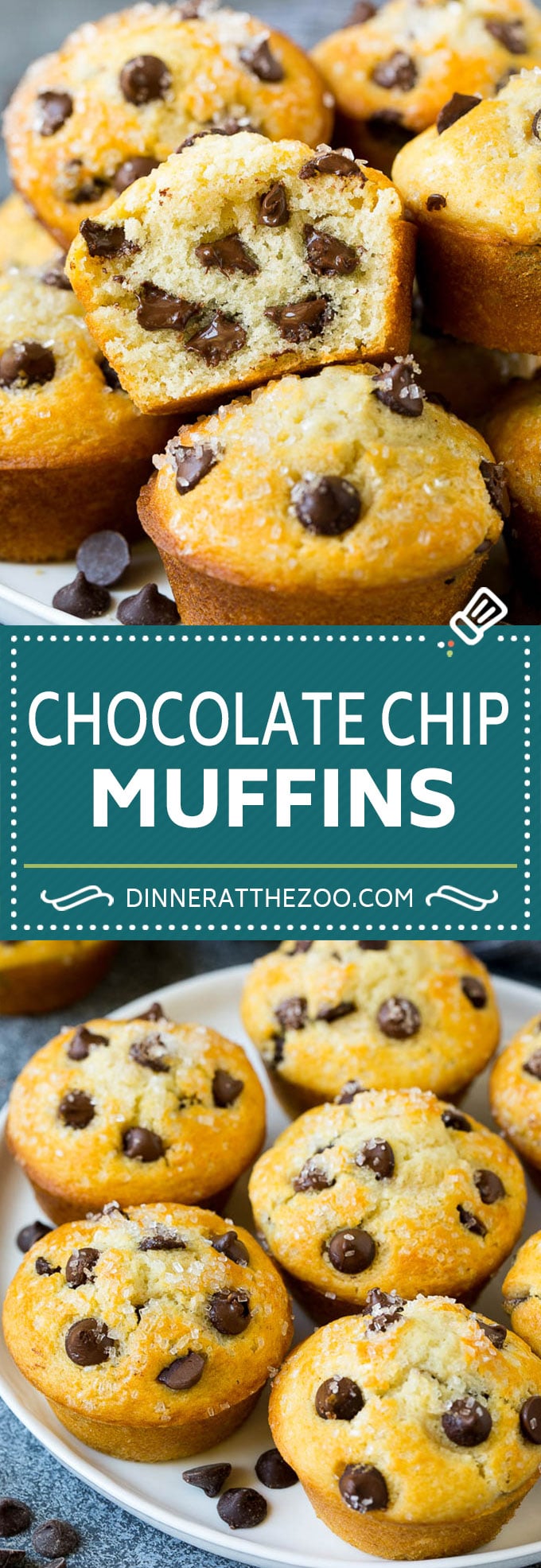Muffin con chispas de chocolate |  Receta fácil de muffins #chocolate #muffins #supply #breakfast #snack #dinneratthezoo