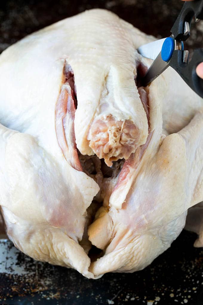 Spatchcock Turquía |  Pavo asado |  Pavo de acción de gracias #tanker # acción de gracias # cena # otoño # navidad #dinneratthezoo Tijeras cortando la columna vertebral de un pavo.