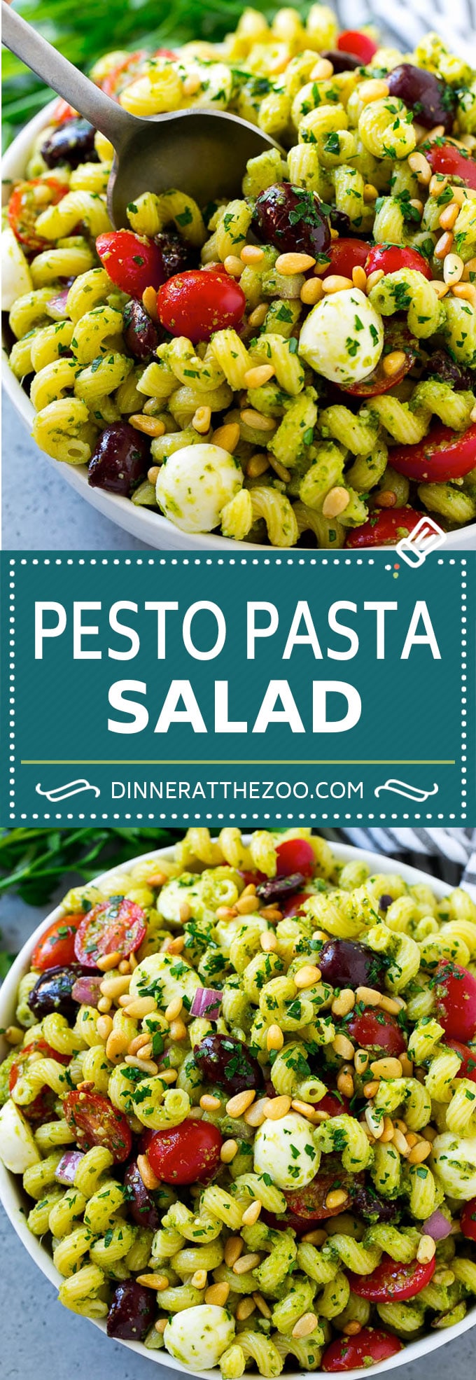 Ensalada de pasta con pesto |  Ensalada de pasta italiana |  Ensalada de pasta fácil #pasta #insalata #pesto #olives #tomatoes #dinneratthezoo