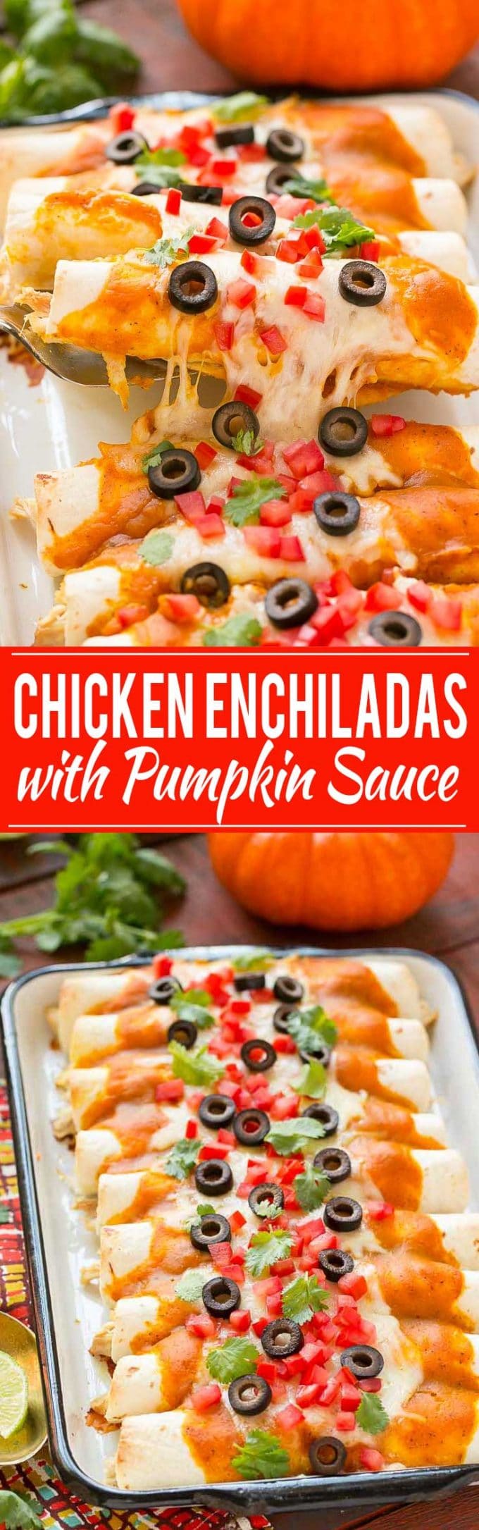 Receta de enschiladas de pollo con salsa de calabaza |  Enchiladas de pollo y calabaza |  Salsa de calabaza |  Enchiladas de Pollo |  Las mejores enchiladas de pollo