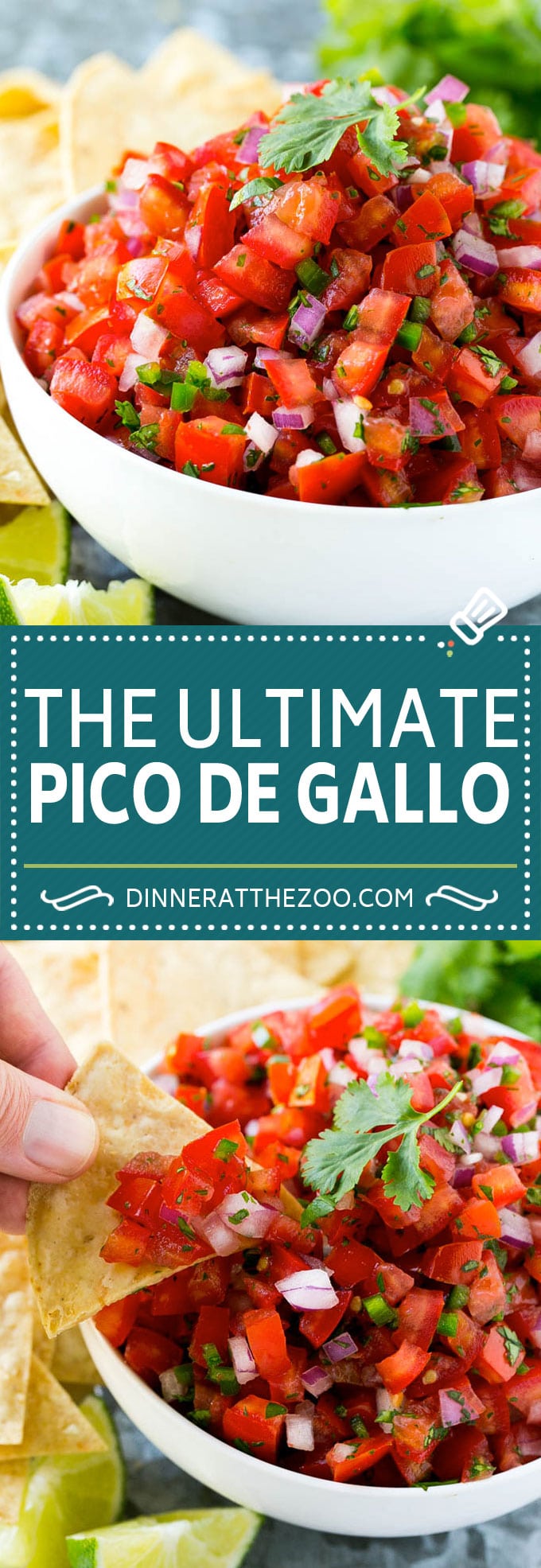 Receta Pico de Gallo |  Receta de salsa casera |  Receta de salsa fresca #sauce #salsafresca #picodegallo #snack #aperitif #dinneratthezoo