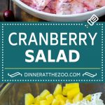 Receta de ensalada de arándanos | Ensalada de pelusa # arándano #ensalada # otoño # cena #Cazuelas online# acción de gracias