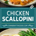 Receta de vieiras de pollo #Pollo # Pechuga de pollo # Cena #dinneratthezoo