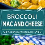 Receta de macarrones con queso y brócoli |  Macarrones con queso en la estufa |  Macarrones con brócoli y queso #brócoli #macandcheese # queso #pasta # cena #dineratthezoo