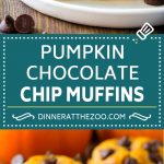 Receta de muffins de calabaza y chispas de chocolate |  Muffins de calabaza |  Muffins de calabaza y chocolate #muffins #Calabaza #Otoño #Chocolate # postres # Merienda #dinneratthezoo