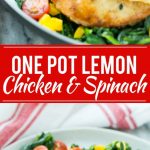 Esta receta de pechuga de pollo con espinacas chamuscadas es un plato único hecho con pechugas de pollo y verduras en la más deliciosa salsa de limón, mantequilla y hierbas.