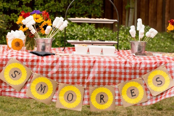 Fiesta de bar de verano S’mores