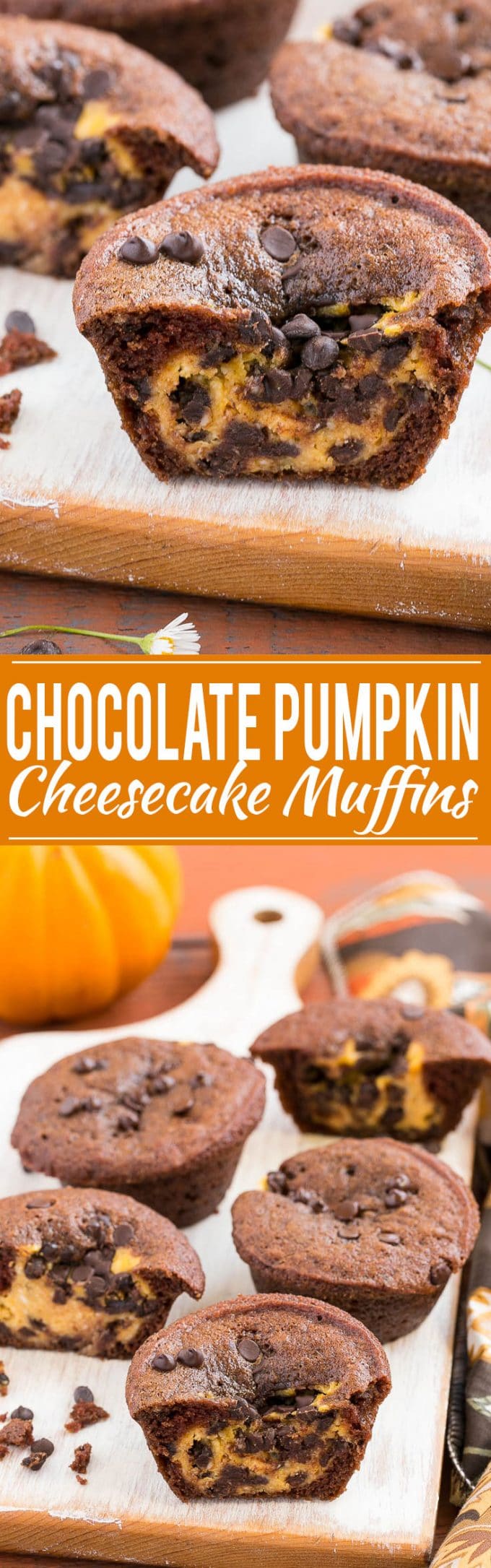 Receta de pastel de queso con muffin de calabaza y chocolate |  Muffin de calabaza y chocolate |  Muffins de tarta de queso con calabaza y chocolate